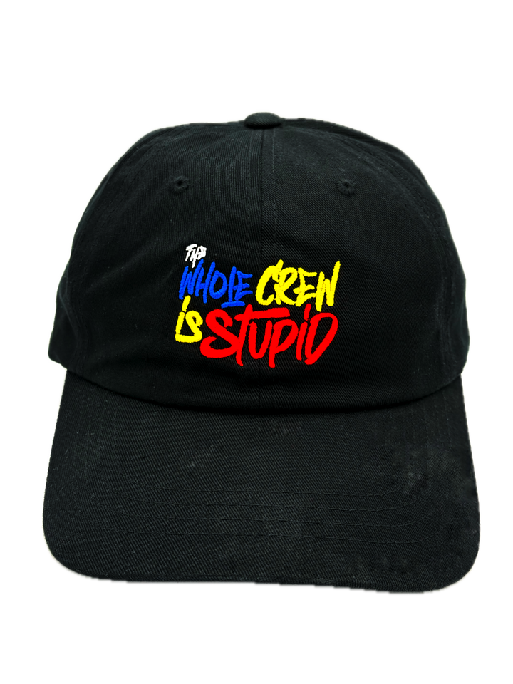 The Whole Crew Is Stupid Black Dad Hat