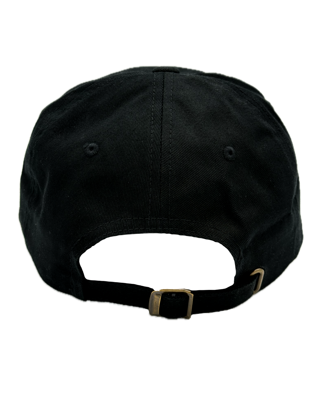 The Whole Crew Is Stupid Black Dad Hat