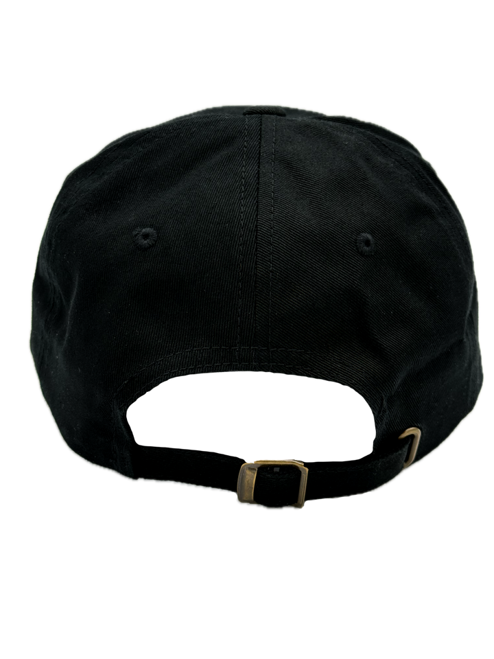 The Whole Crew Is Stupid Black Dad Hat